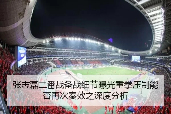 张志磊二番战备战细节曝光重拳压制能否再次奏效之深度分析