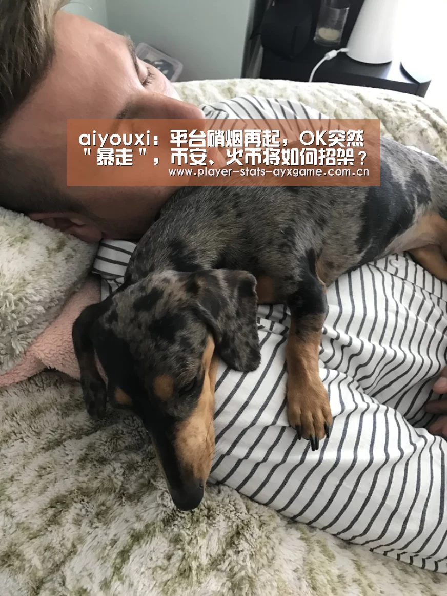 aiyouxi：平台硝烟再起，OK突然＂暴走＂，币安、火币将如何招架？(图3)