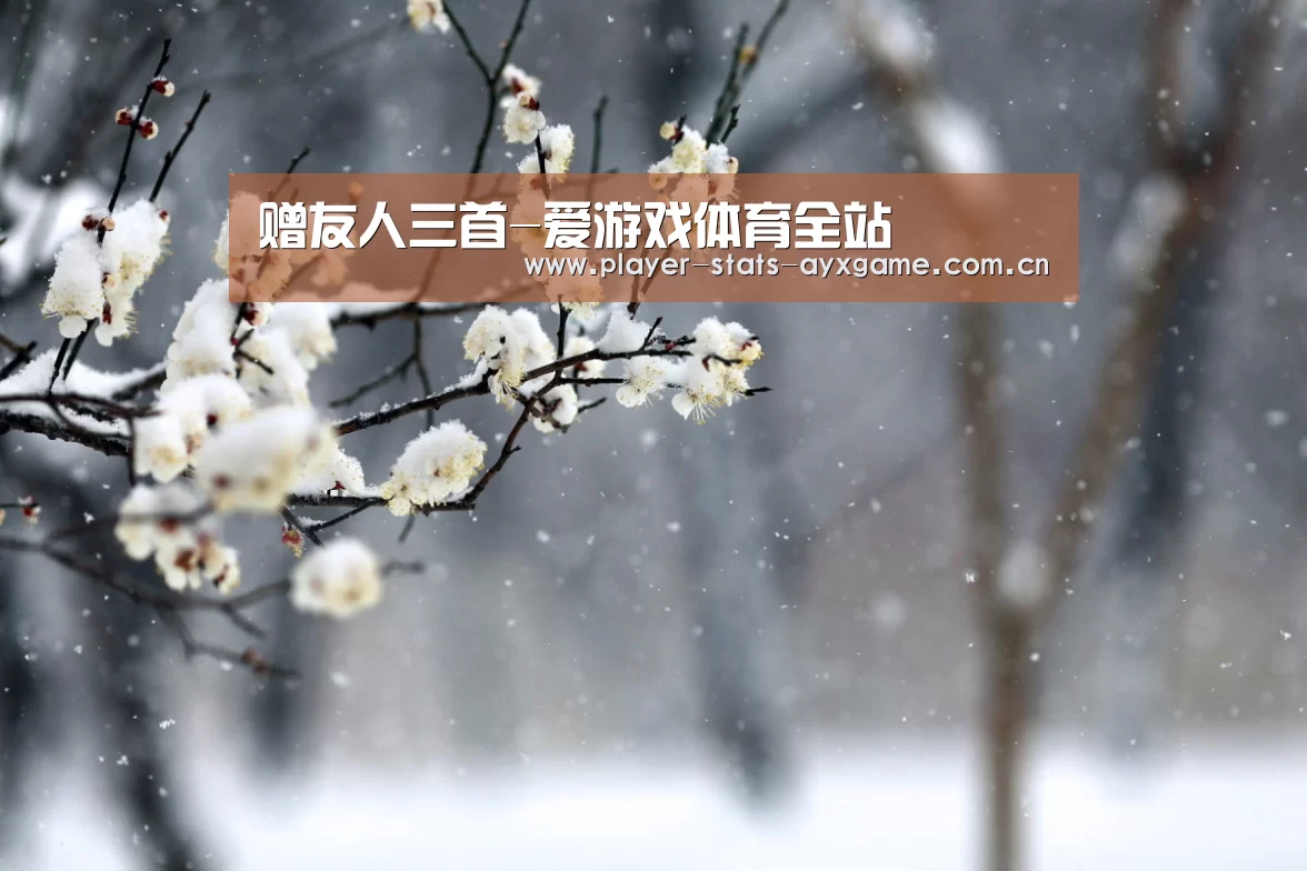 爱游戏体育
