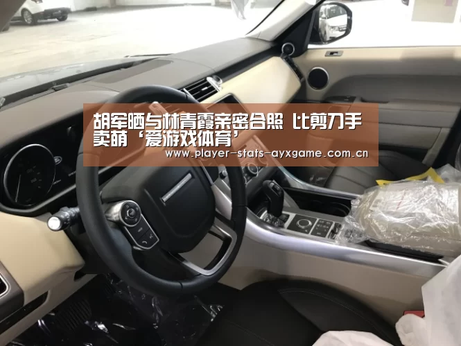 爱游戏体育全站