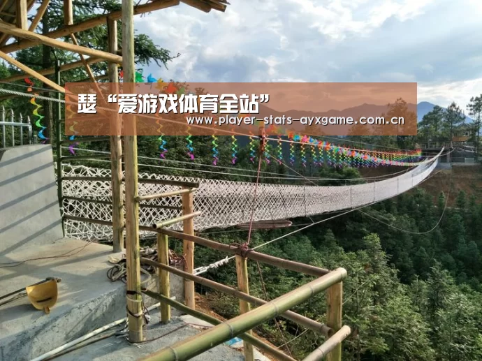 瑟“爱游戏体育全站”(图1) 爱游戏体育全站