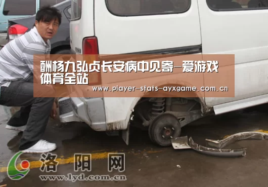 酬杨九弘贞长安病中见寄-爱游戏体育全站(图2) 爱游戏体育全站
