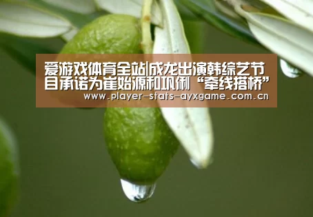 爱游戏体育全站|成龙出演韩综艺节目承诺为崔始源和巩俐“牵线搭桥”(图2) 爱游戏体育全站