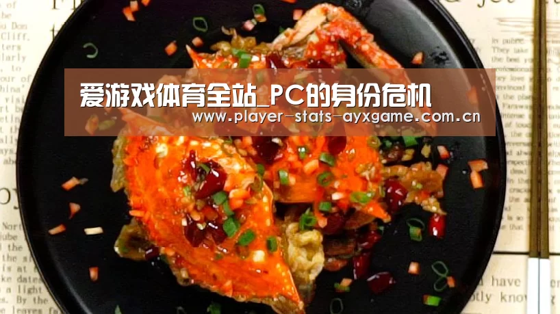 爱游戏体育全站_PC的身份危机(图1) 爱游戏体育