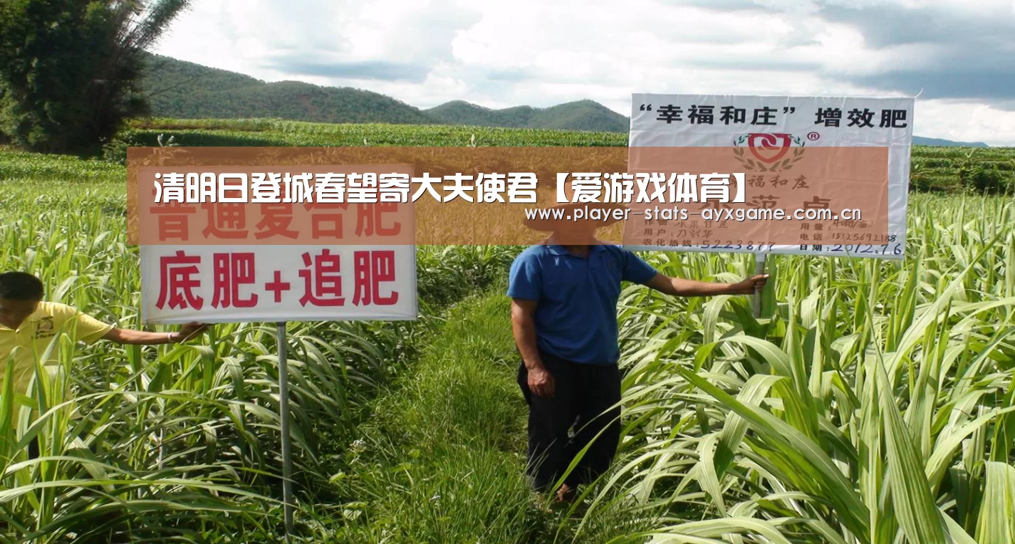 爱游戏体育全站